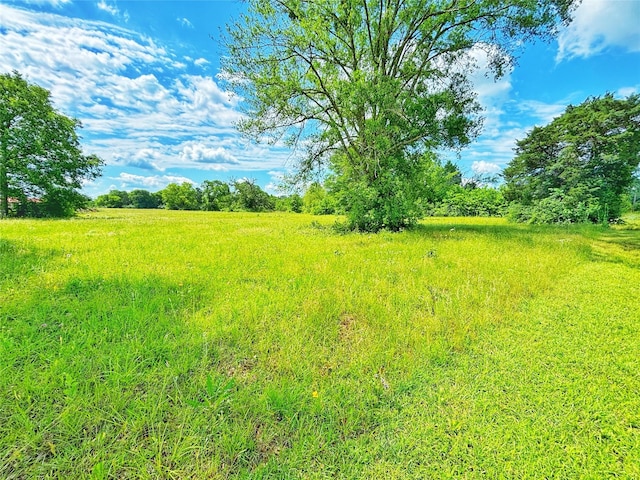5962 Fm-288, Grapeland, TX 75844 - photo 1