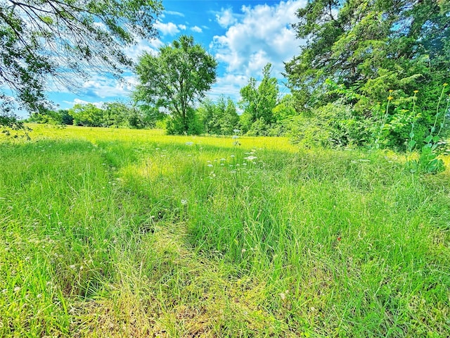 5962 Fm-288, Grapeland, TX 75844 - photo 3
