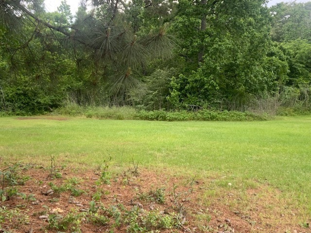 TBD Slade St, Coldspring, TX 77331 - photo 1
