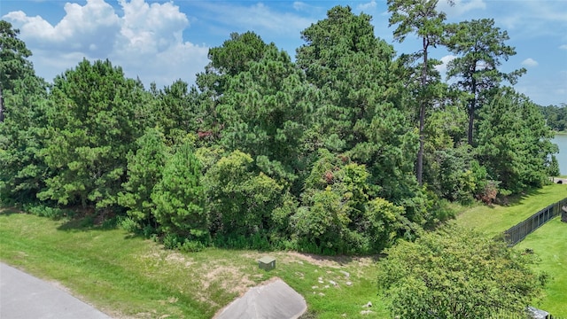 4507 Milani Ridge Ct, Spring, TX 77386 - photo 17