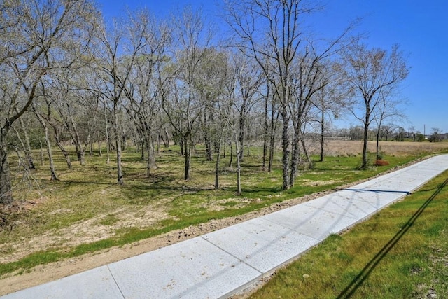 18334 Sunset Elm Dr, Cypress, TX 77433 - photo 38