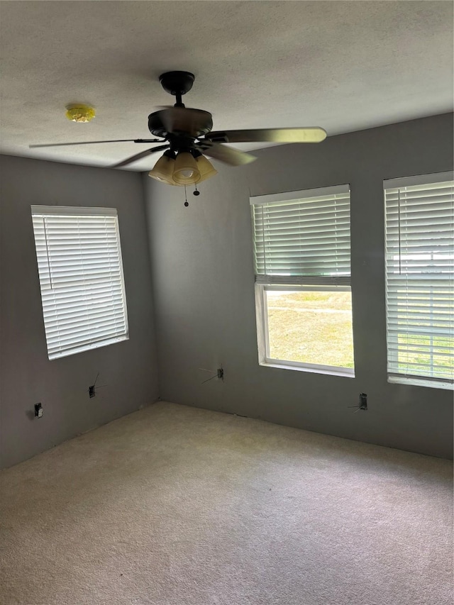 7625 St Lo Rd, Houston, TX 77033 - photo 4