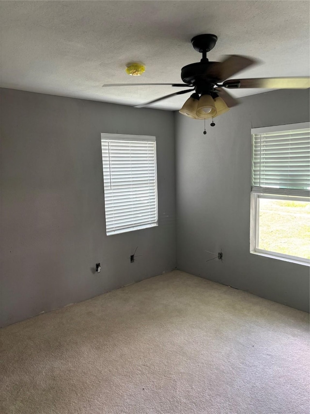 7625 St Lo Rd, Houston, TX 77033 - photo 3