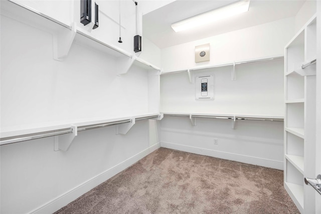 1211 Hickory St Unit E, Houston, TX 77007 - photo 22