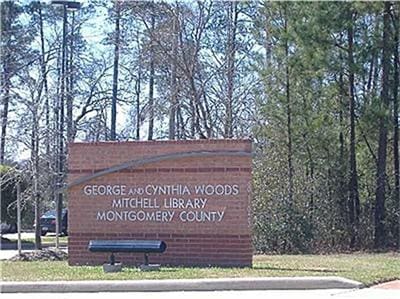 6 Scenic Brook Ct, The Woodlands, TX 77382 - photo 26
