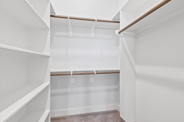 7225 Tierwester St, Houston, TX 77021 - photo 24