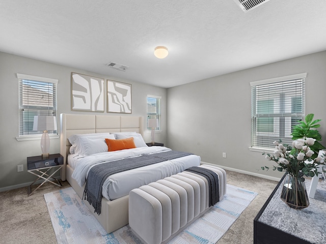 10210 Pinewood Fox Dr, Houston, TX 77080 - photo 12