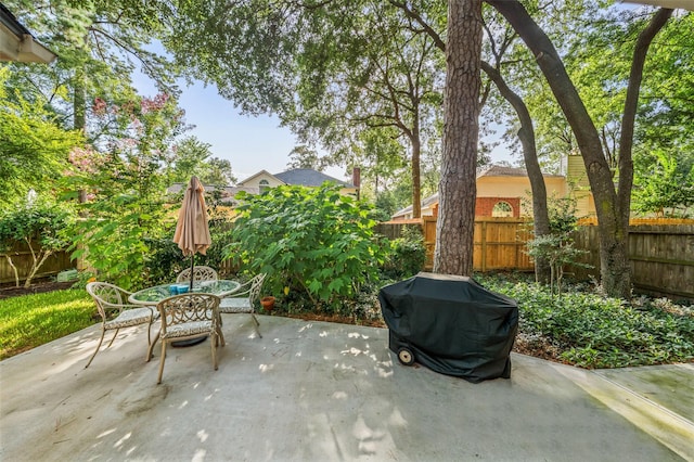 95 S Dreamweaver Cir, The Woodlands, TX 77380 - photo 4