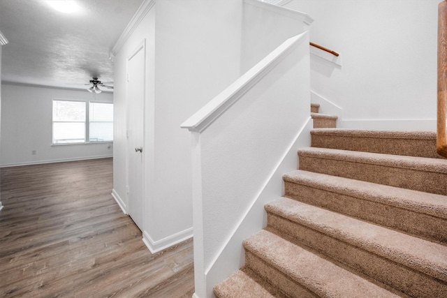 15223 Keystone Bend Ln, Cypress, TX 77429 - photo 22
