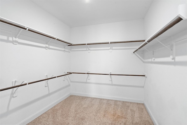 22310 Nobleton Dr, Tomball, TX 77375 - photo 22