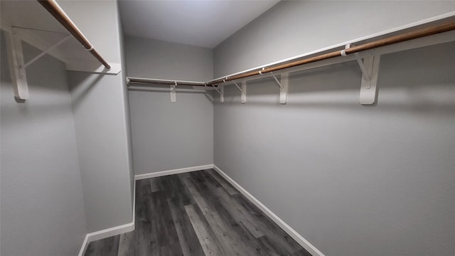 6626 Springfield Garden Ln, Spring, TX 77379 - photo 10