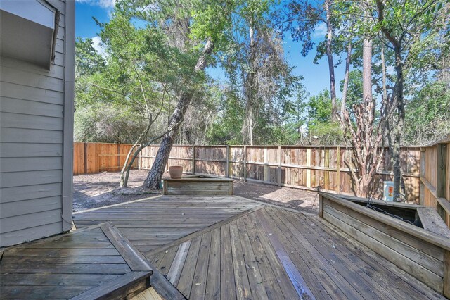 147 Anise Tree Pl, The Woodlands, TX 77382 - photo 25