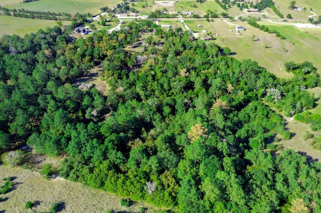 14440 Fm 1696th Rd, Bedias, TX 77831 - photo 29