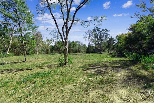 14440 Fm 1696th Rd, Bedias, TX 77831 - photo 34