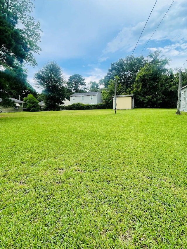 255 Bluebonnet, Livingston, TX 77351 - photo 4