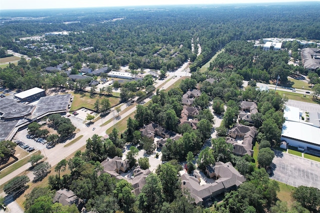 21 Scarlet Woods Ct, The Woodlands, TX 77380 - photo 27