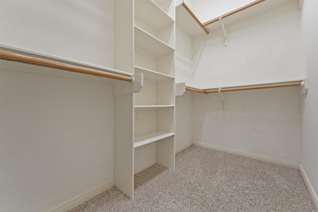 2402 Calumet St Unit D, Houston, TX 77004 - photo 8