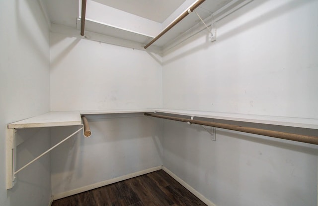29115 Binefield St, Spring, TX 77386 - photo 26