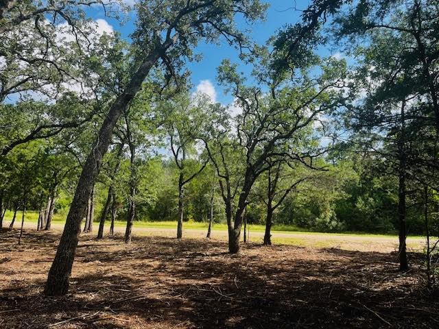TBD Big Creek Forest Dr, Somerville, TX 77879 - photo 2