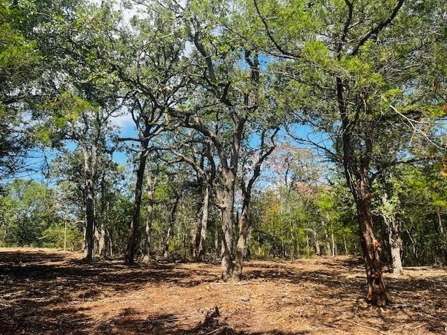 TBD Big Creek Forest Dr, Somerville, TX 77879 - photo 7
