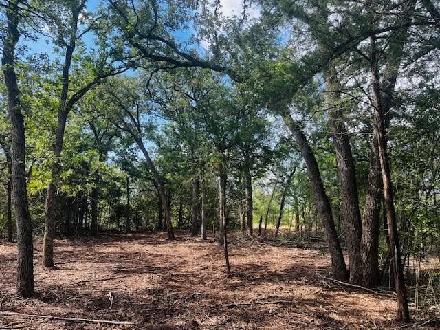 TBD Big Creek Forest Dr, Somerville, TX 77879 - photo 8