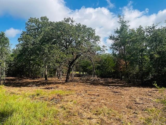 TBD Big Creek Forest Dr, Somerville, TX 77879 - photo 9