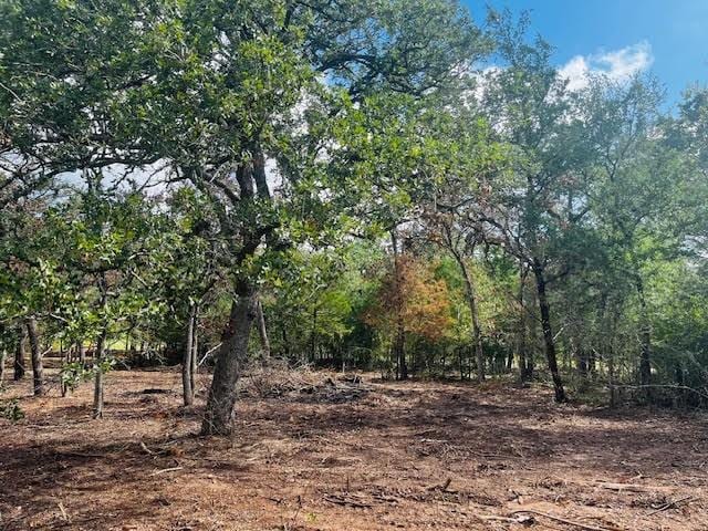 TBD Big Creek Forest Dr, Somerville, TX 77879 - photo 10