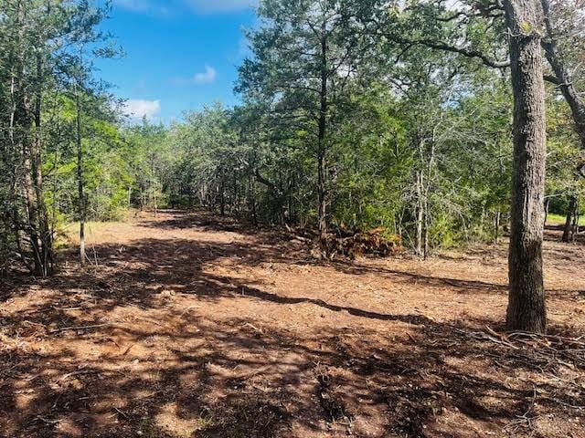 TBD Big Creek Forest Dr, Somerville, TX 77879 - photo 11