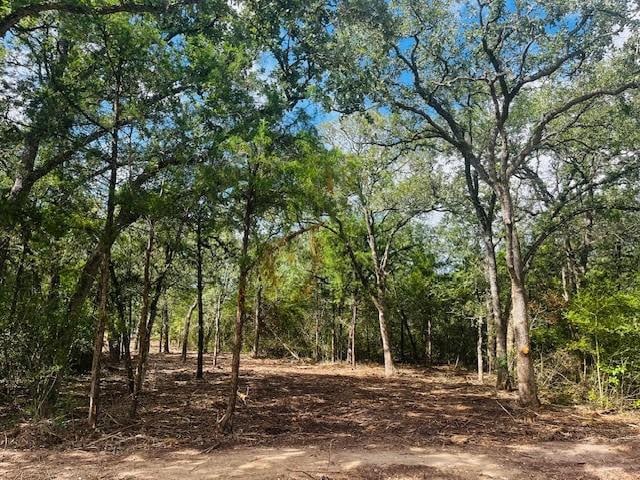 TBD Big Creek Forest Dr, Somerville, TX 77879 - photo 13