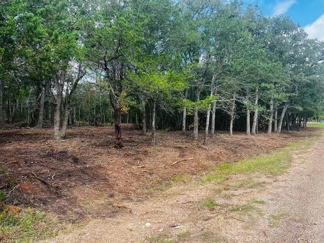 TBD Big Creek Forest Dr, Somerville, TX 77879 - photo 14