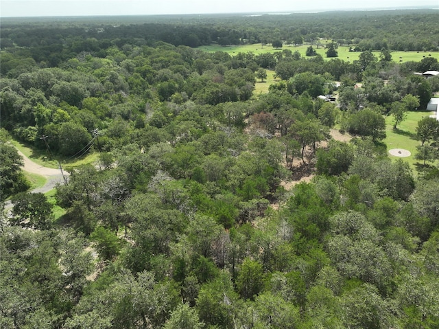 TBD Big Creek Forest Dr, Somerville, TX 77879 - photo 4