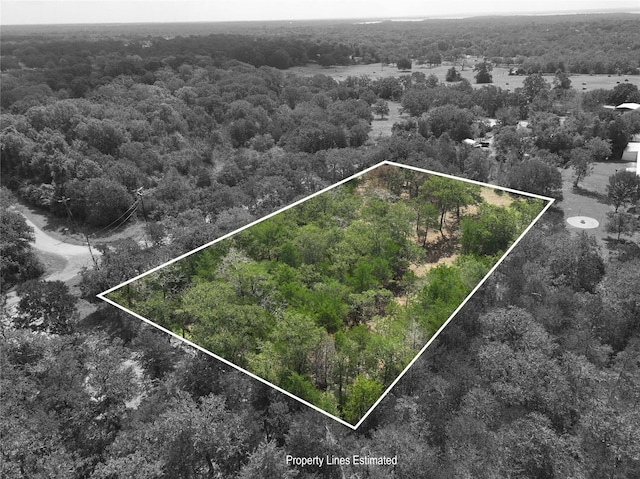 TBD Big Creek Forest Dr, Somerville, TX 77879 - photo 6