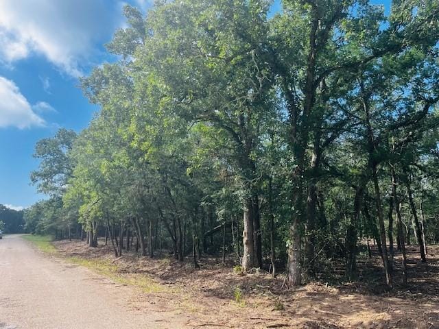 TBD Big Creek Forest Dr, Somerville, TX 77879 - photo 1