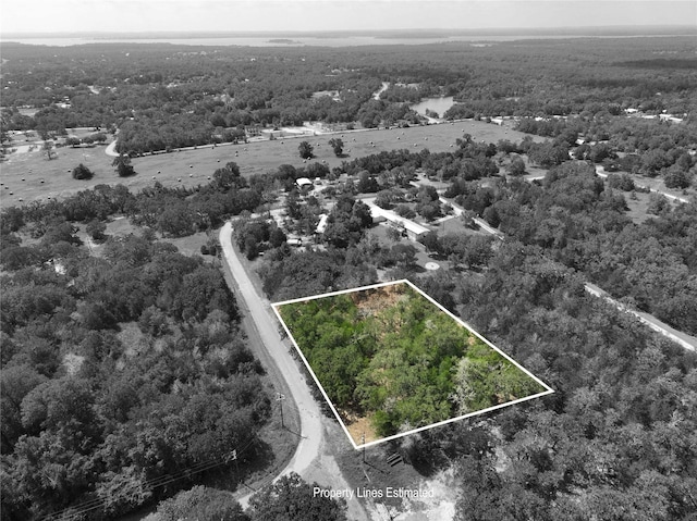 TBD Big Creek Forest Dr, Somerville, TX 77879 - photo 5