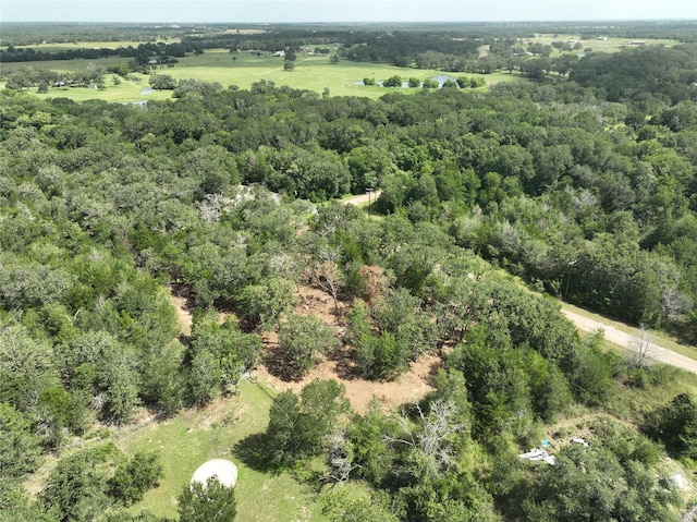 TBD Big Creek Forest Dr, Somerville, TX 77879 - photo 15