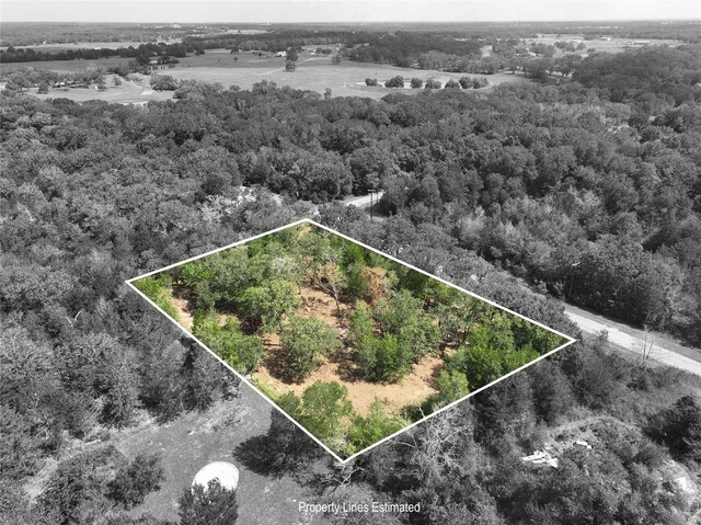 TBD Big Creek Forest Dr, Somerville, TX 77879 - photo 16