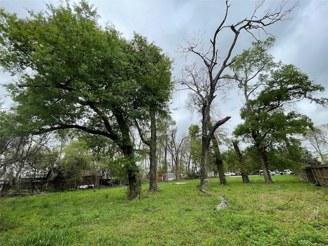 527 Marcella St, Houston, TX 77091 - photo 13