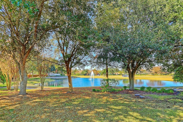 4011 Wolf Springs Ct, Sugar Land, TX 77479 - photo 32