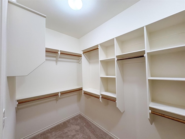 332 Green Leaf St, Huntsville, TX 77340 - photo 5