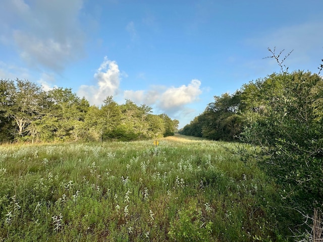 000 Sandy Creek Rd, Garwood, TX 77442 - photo 1