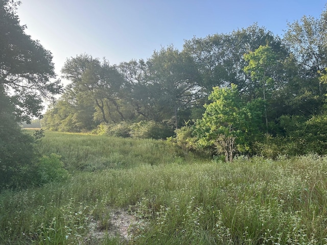 000 Sandy Creek Rd, Garwood, TX 77442 - photo 4