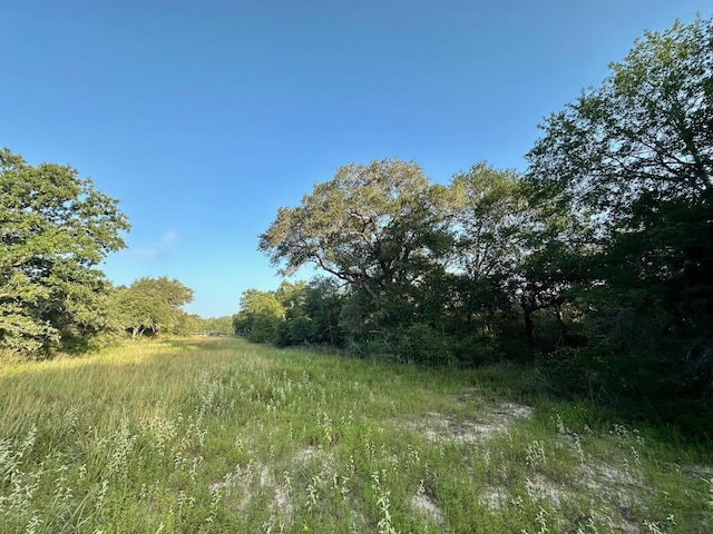000 Sandy Creek Rd, Garwood, TX 77442 - photo 5