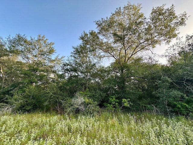 000 Sandy Creek Rd, Garwood, TX 77442 - photo 6