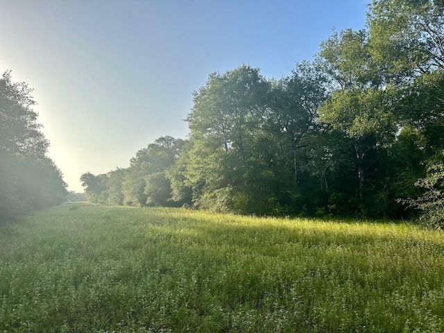 000 Sandy Creek Rd, Garwood, TX 77442 - photo 9