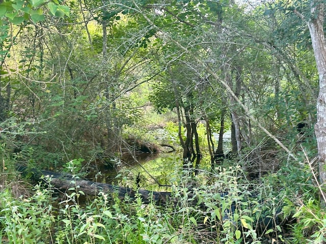 000 Sandy Creek Rd, Garwood, TX 77442 - photo 11