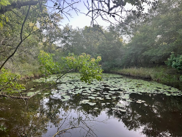 000 Sandy Creek Rd, Garwood, TX 77442 - photo 12