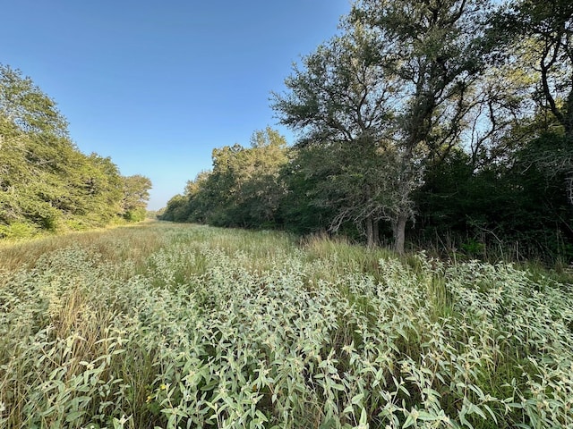 000 Sandy Creek Rd, Garwood, TX 77442 - photo 14