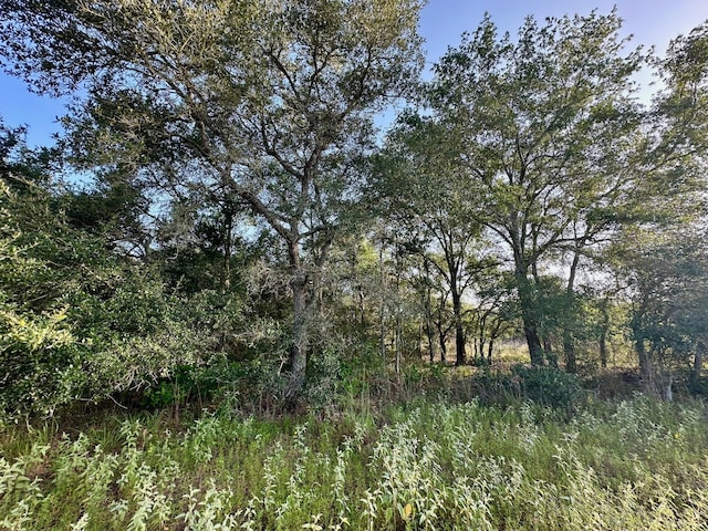 000 Sandy Creek Rd, Garwood, TX 77442 - photo 15
