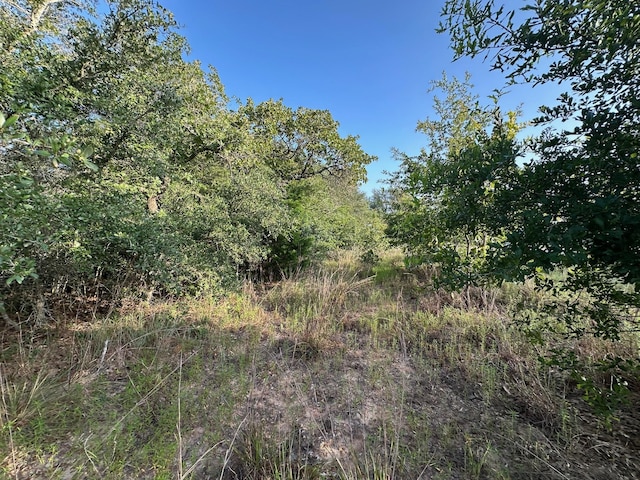 000 Sandy Creek Rd, Garwood, TX 77442 - photo 16