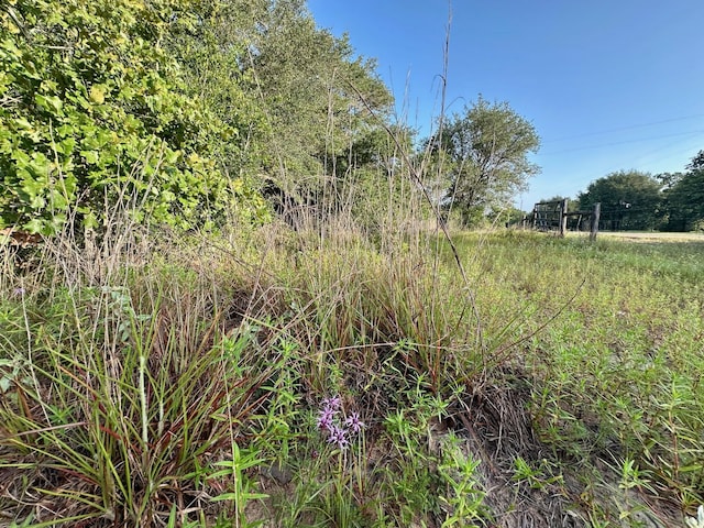 000 Sandy Creek Rd, Garwood, TX 77442 - photo 18